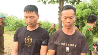 Khởi tố 2 đối tượng người nước ngoài xâm phạm mộ vua Lê Túc Tông