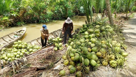 Đầu tư nguồn lực phát triển kinh tế nông nghiệp hiệu quả, bền vững