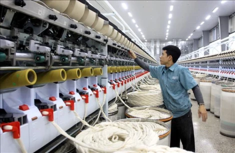 Kế hoạch hành động của Chính phủ về phát triển kinh tế tư nhân