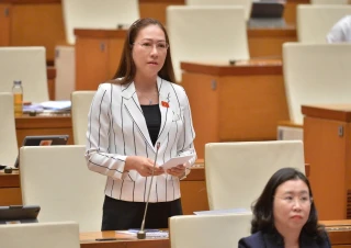 Cần tăng cường tính minh bạch và chế tài đối với hành vi kê khai không trung thực vốn điều lệ