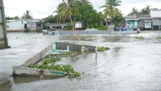Cần Thơ: Sạt lở nghiêm trọng nhấn chìm một nhà dân ở huyện Thới Lai