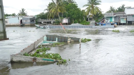 Cần Thơ: Sạt lở nghiêm trọng nhấn chìm một nhà dân ở huyện Thới Lai