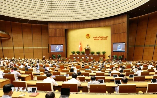 Cân nhắc bỏ án tử hình với một số tội danh: 'Quốc hội cần xem xét kỹ lưỡng'