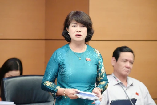 Cần xác định rõ thẩm quyền, trách nhiệm giữa Viện Kiểm sát với các cơ quan, tổ chức, cá nhân trong việc khởi kiện vụ án dân sự để bảo vệ quyền của các chủ thể dễ bị tổn thương hoặc bảo vệ lợi ích công