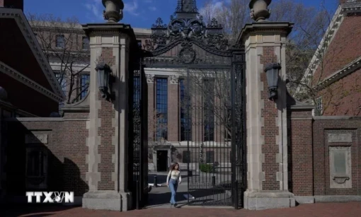 Mỹ thu hồi quyền tuyển sinh sinh viên quốc tế của Đại học Harvard