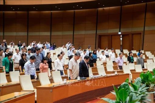 Quy định trình tự, thủ tục bắt người trong trường hợp khẩn cấp để dẫn độ