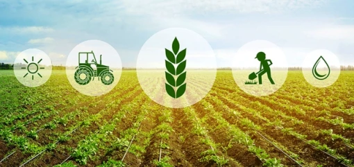 7 nhiệm vụ then chốt chuyển đổi số của ngành nông nghiệp và môi trường