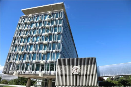 Cờ Palestine sẽ lần đầu tung bay tại trụ sở WHO