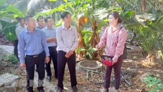 Thường trực HĐND tỉnh hoàn thành chương trình công tác đề ra