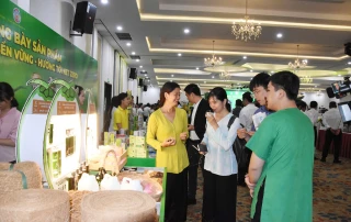 Phát triển kinh tế tuần hoàn cho cây dừa