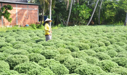 Định giá cụ thể sản phẩm, dịch vụ công ích thủy lợi