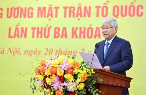 Sắp xếp tổ chức bộ máy MTTQ Việt Nam, các tổ chức chính trị - xã hội cấp tỉnh, xã