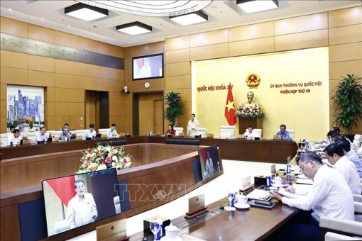 Đề xuất giao Chính phủ quyết định mở rộng đối tượng được vay vốn hỗ trợ tạo việc làm