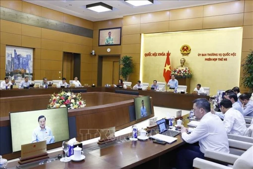 Cần lập đề án xử lý tài sản công khi sắp xếp đơn vị hành chính Cần lập đề án xử lý tài sản công khi sắp xếp đơn vị hành chính