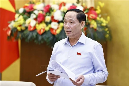 Sửa luật đảm bảo tính khả thi khi sắp xếp bộ máy Sửa luật đảm bảo tính khả thi khi sắp xếp bộ máy