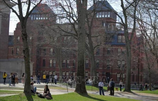 Tổng thống Mỹ ký sắc lệnh hạn chế cấp visa cho sinh viên quốc tế tới Harvard
