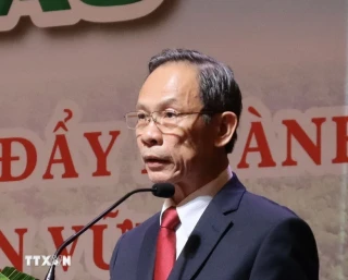 Ban Bí thư xem xét, thi hành kỷ luật đảng viên vi phạm