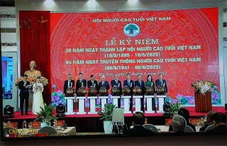 Hội nghị trực tuyến kỷ niệm 30 năm Ngày thành lập Hội Người cao tuổi Việt Nam