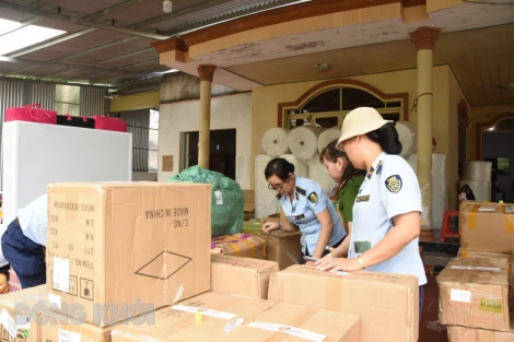 Tiếp tục thực hiện công tác chống buôn lậu, gian lận thương mại và hàng giả trên khu vực biên giới biển, vùng biển và địa bàn nội địa giai đoạn 2022-2025