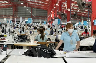 Phấn đấu đạt tăng trưởng kinh tế từ 8%