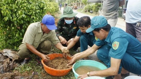 Ban Chỉ đạo 515 tỉnh nỗ lực tìm kiếm cất bốc, quy tập hài cốt liệt sĩ trên địa bàn