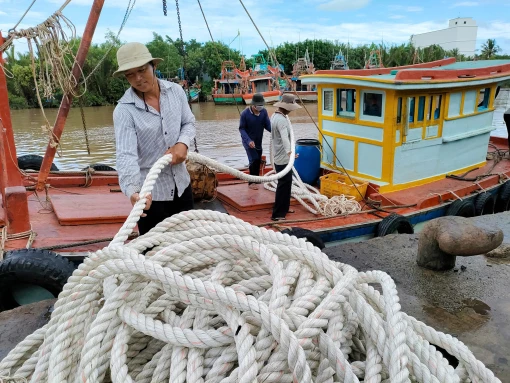 Tập trung ngăn chặn triệt để tàu cá khai thác trái phép
