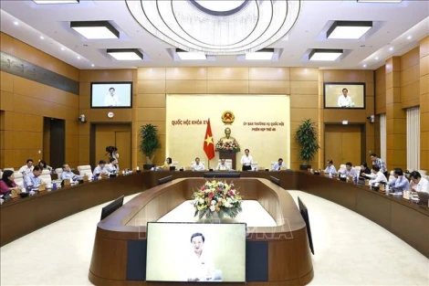 Hoàn thiện dự thảo Luật sửa đổi, bổ sung một số điều của Bộ luật Hình sự