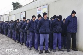Nga và Ukraine tiếp tục trao đổi tù binh lần thứ 2 sau hòa đàm