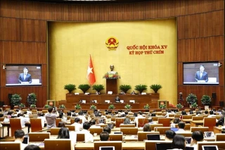 Tạo cơ sở pháp lý về tổ chức bộ máy MTTQ Việt Nam, các tổ chức chính trị - xã hội sau sắp xếp, tinh gọn