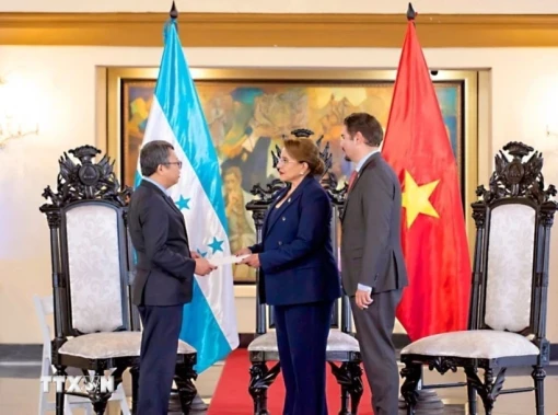 Việt Nam và Honduras củng cố tin cậy chính trị, mở rộng không gian hợp tác