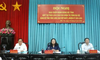 Góp ý dự thảo Báo cáo chính trị trình Đại hội Đảng bộ tỉnh Vĩnh Long, nhiệm kỳ 2025 - 2030