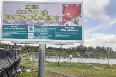 Cá đối và cua biển Hợp tác xã Đại Hòa Lộc đạt chuẩn ocop 3 sao