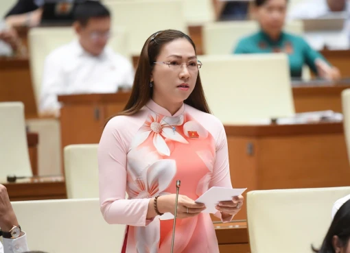 Cần sớm tháo gỡ vướng mắc trong việc sử dụng nguồn kinh phí vận động phòng, chống dịch Covid-19 của địa phương