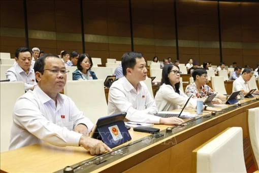 Thông qua Luật Sửa đổi, bổ sung một số điều của Luật Sử dụng năng lượng tiết kiệm và hiệu quả