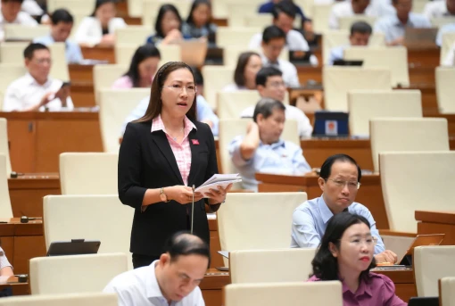 Đại biểu Nguyễn Thị Yến Nhi chất vấn về thực trạng giải ngân 
vốn hỗ trợ phát triển chính thức (ODA)