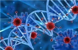 Nga bắt đầu thử nghiệm lâm sàng vaccine ung thư