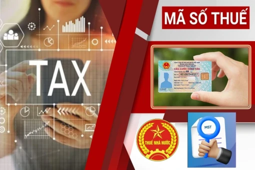 Hướng dẫn tra mã số thuế nhanh chóng, chính xác trên topmst.com