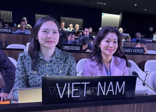 Việt Nam tái đắc cử thành viên Ủy ban liên chính phủ Công ước của UNESCO