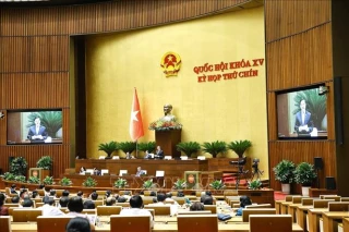 Kịp thời tháo gỡ khó khăn, vướng mắc, giúp bộ máy mới vận hành hiệu quả