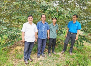 Phú Đức hướng đến xây dựng sản phẩm sầu riêng đạt OCOP 3 sao