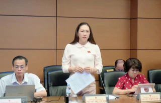 Cần bổ sung quy định bồi thường thiệt hại về tài sản do trưng dụng 
trong tình trạng khẩn cấp gây ra