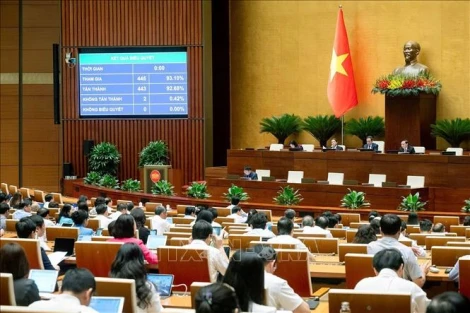 Quốc hội thông qua nhiều luật sửa đổi, nghị quyết quan trọng