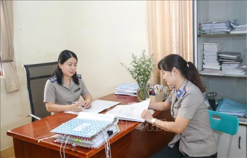 34 cơ quan thi hành án tỉnh, thành phố đi vào hoạt động từ 1-7-2025