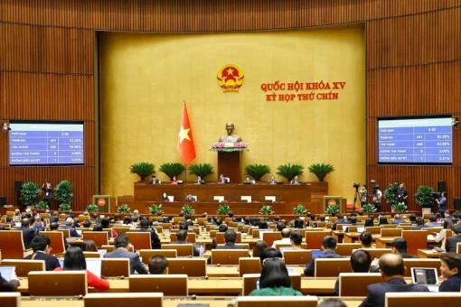 Nghị quyết chỉ định Trưởng Đoàn, Phó Trưởng Đoàn đại biểu Quốc hội