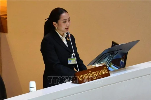 Thái Lan và Pháp nhất trí phối hợp thúc đẩy đàm phán biên giới với Campuchia