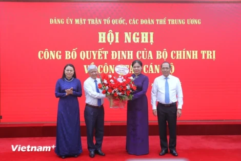 Bộ Chính trị điều động nhân sự mới tham gia Đảng ủy Mặt trận Tổ quốc Việt Nam